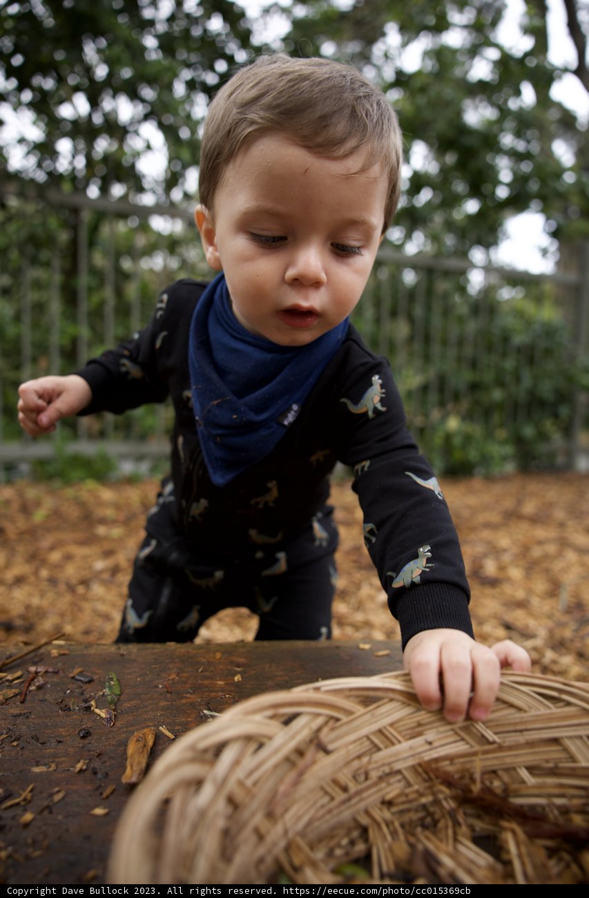 Wesley's Basket Adventures in Golden Gate Park