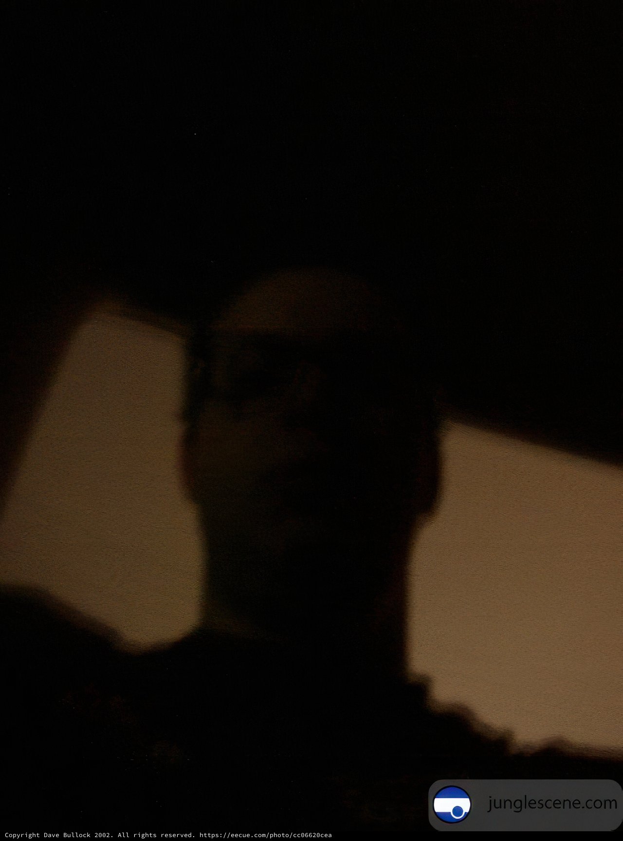 Nighttime Explorer