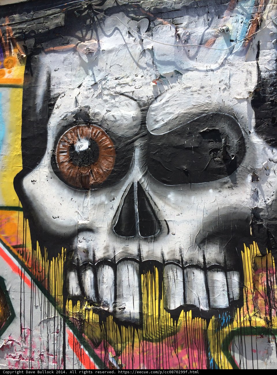 White Skull Graffiti Mural