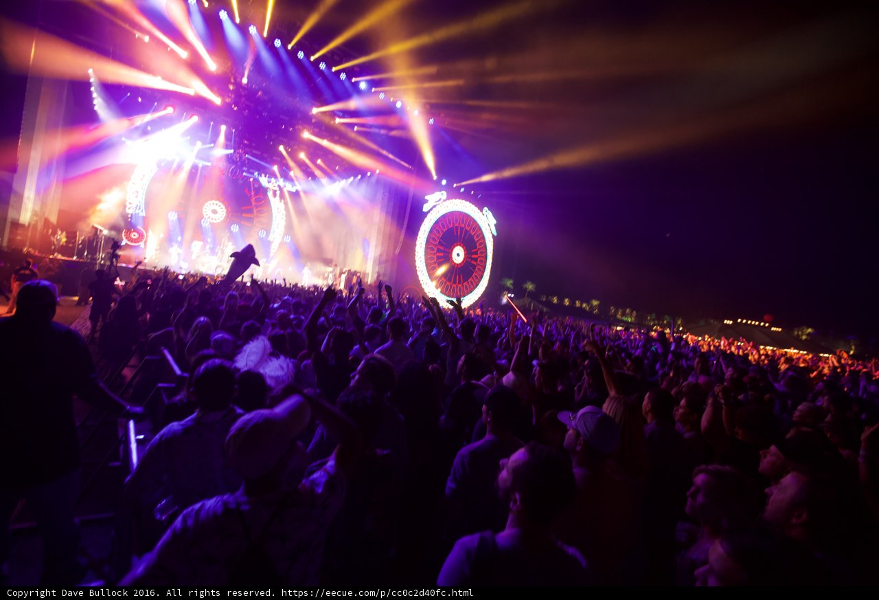 Rockin' with the Crowd