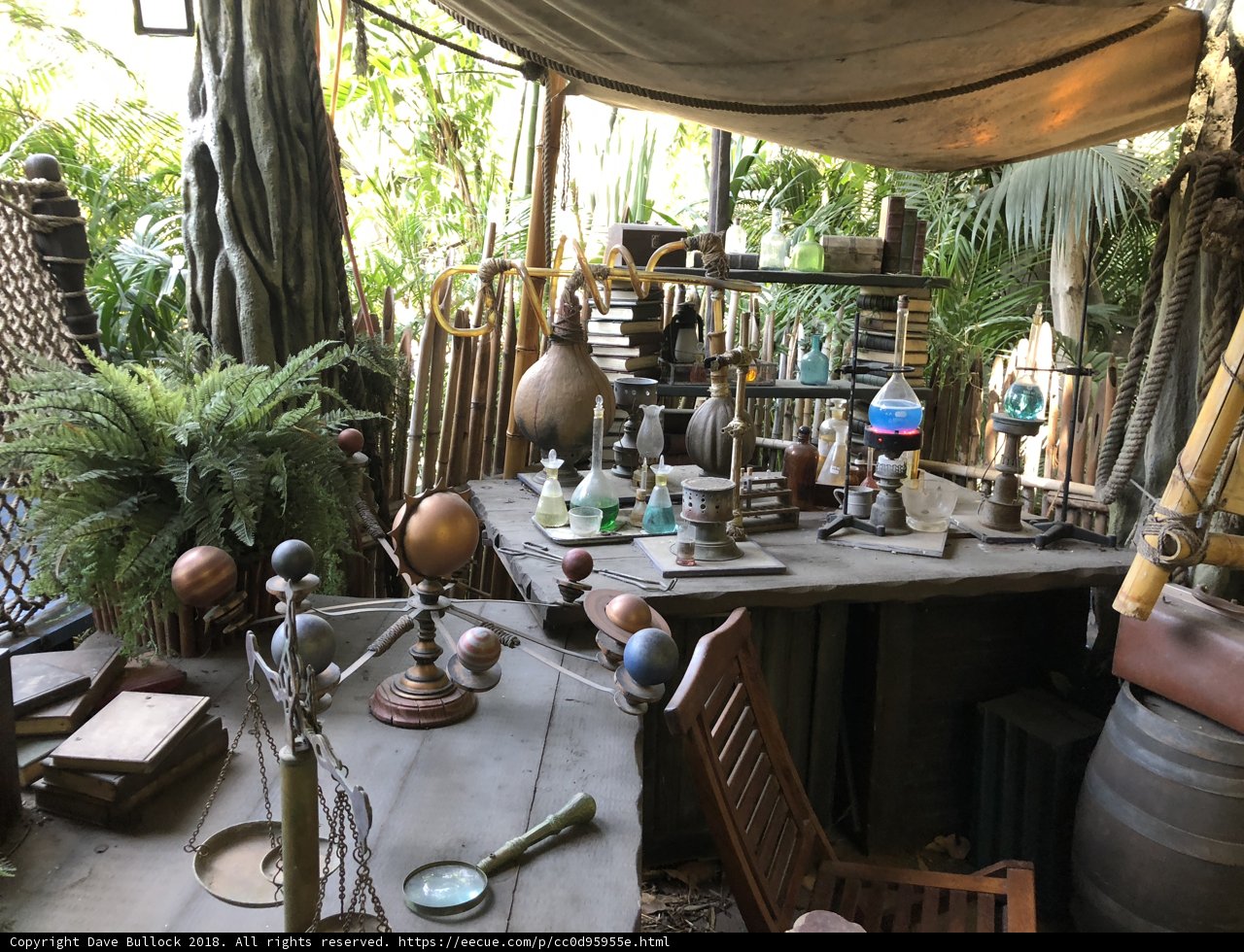 Jungle Tabletop Treasures