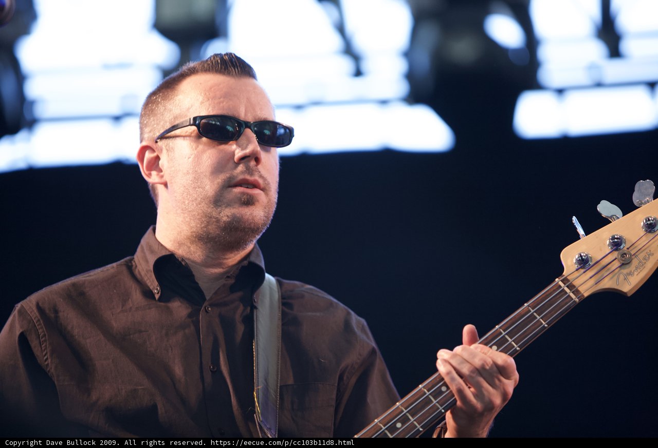 Bassist in Shades