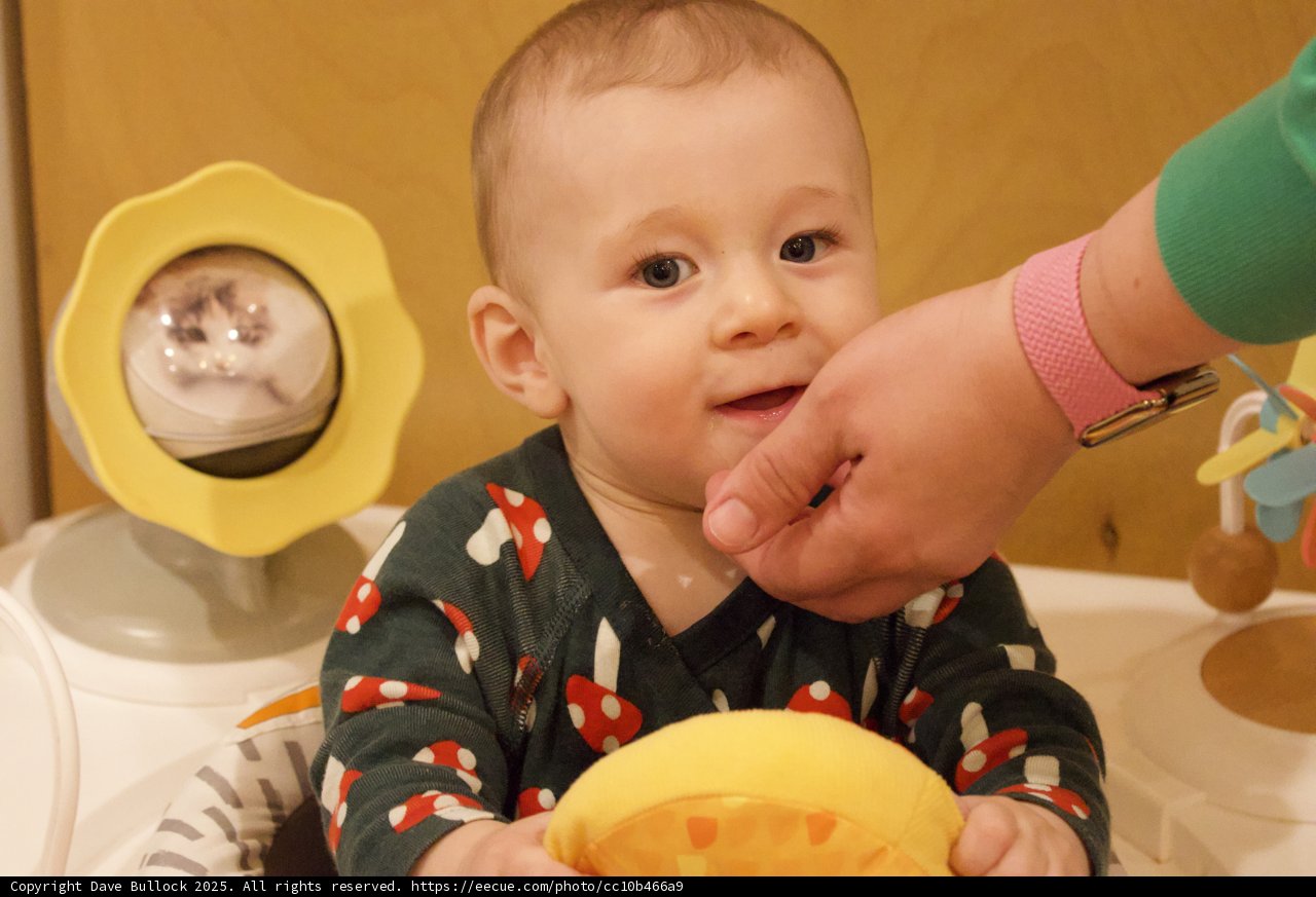 Meal Time Magic
