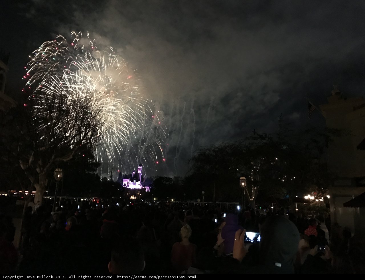 Disneyland Magic in the Night