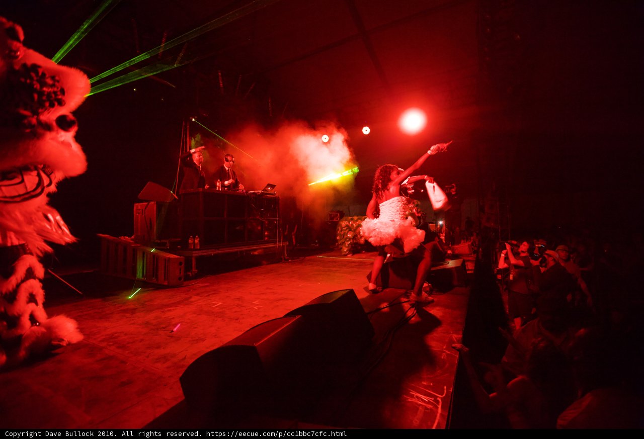 Diplo and the Lion King