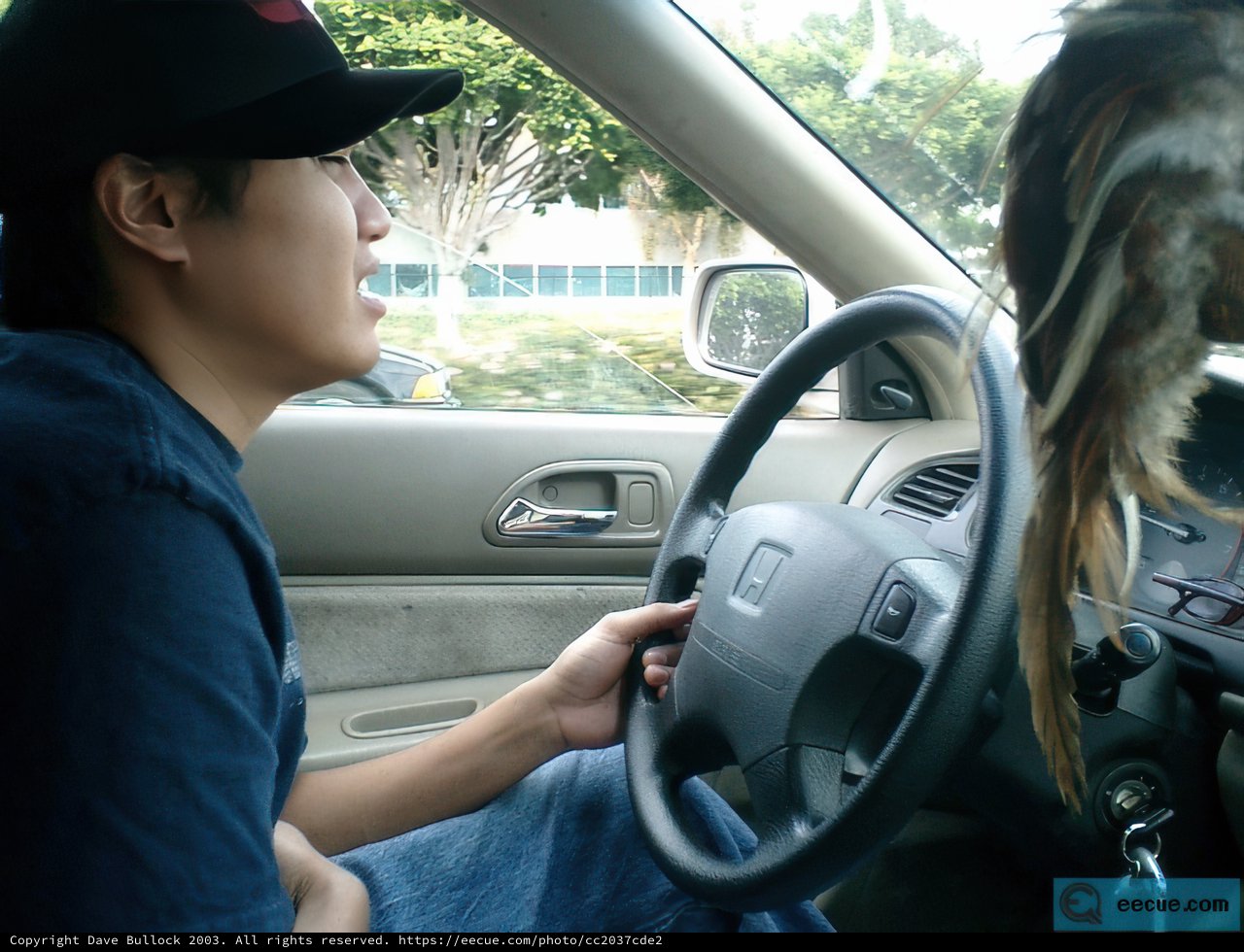 Driving with Style