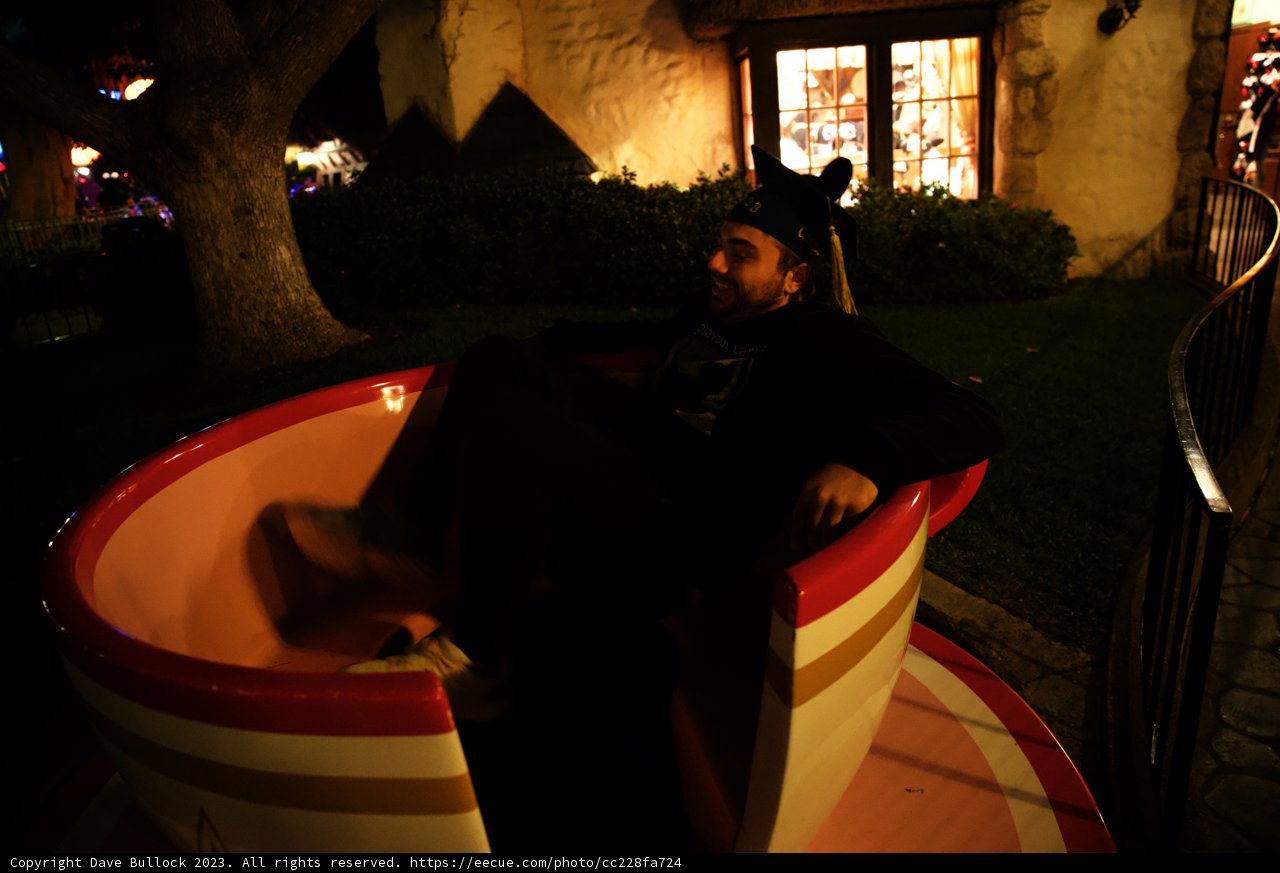 Enchanting Night in a Teacup