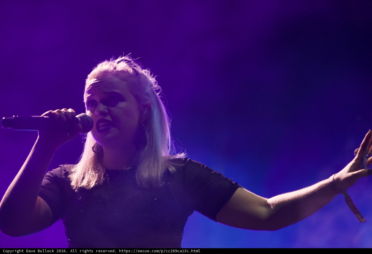 Rockin' the Mic