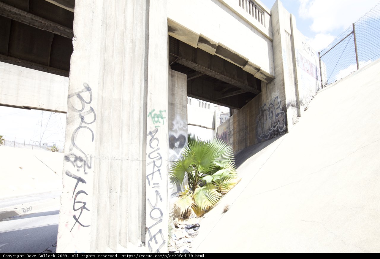 Under the Bridge on a Skateboard