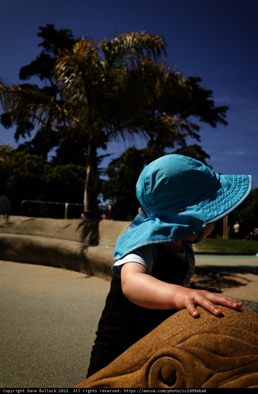 Summer Explorations in Golden Gate Park