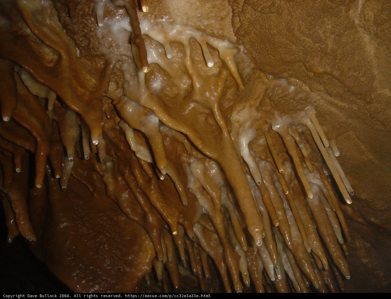 The Dripping Cave
