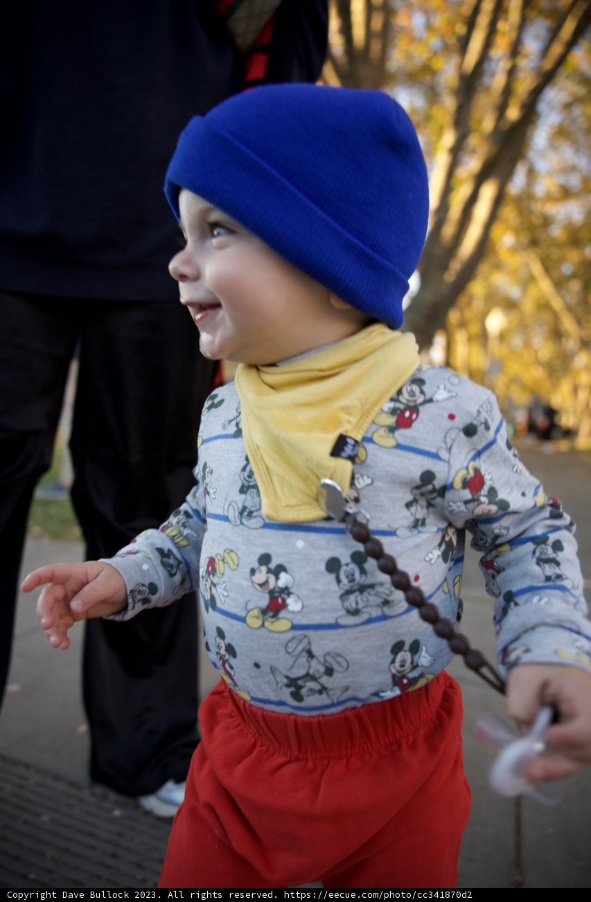 Wesley's Winter Wardrobe in Downtown Sonoma
