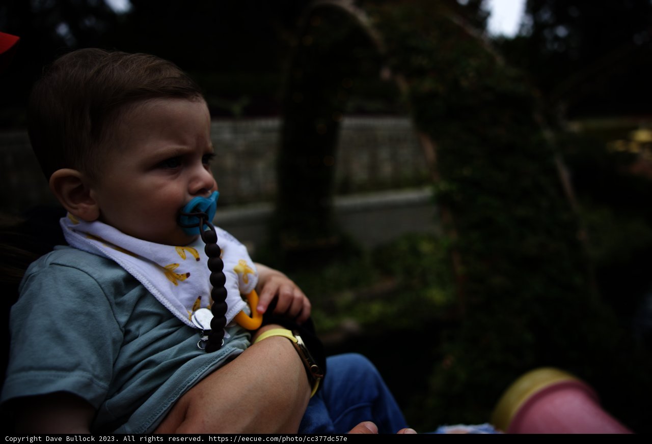 Cherishing Motherhood at Disneyland