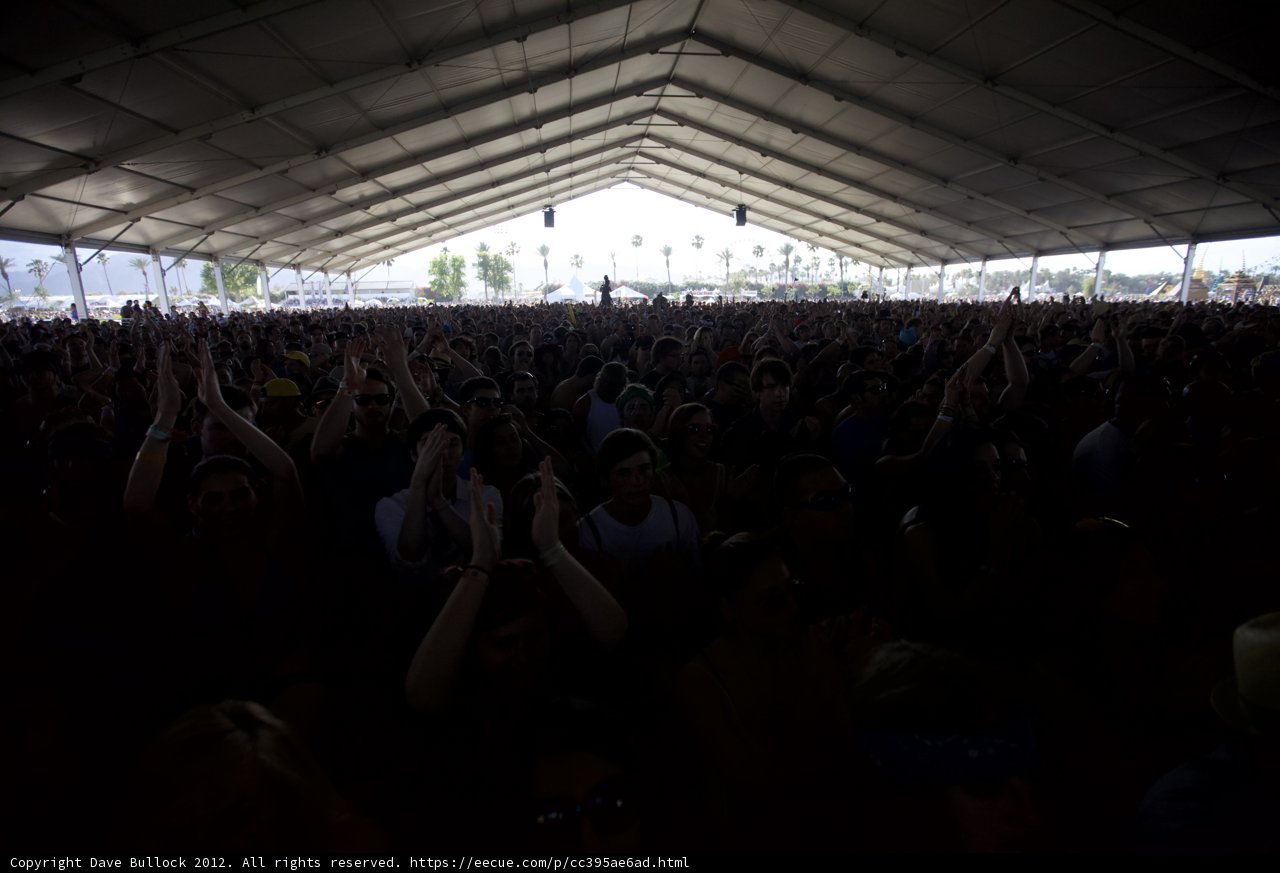 Fist-Pumping Fun at Coachella