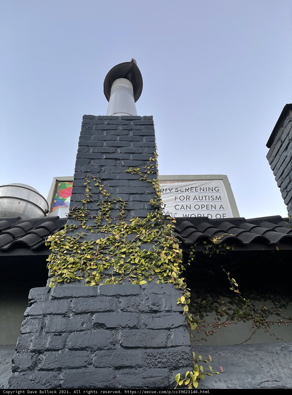 Ivy Chimney at San Francisco Monastery
