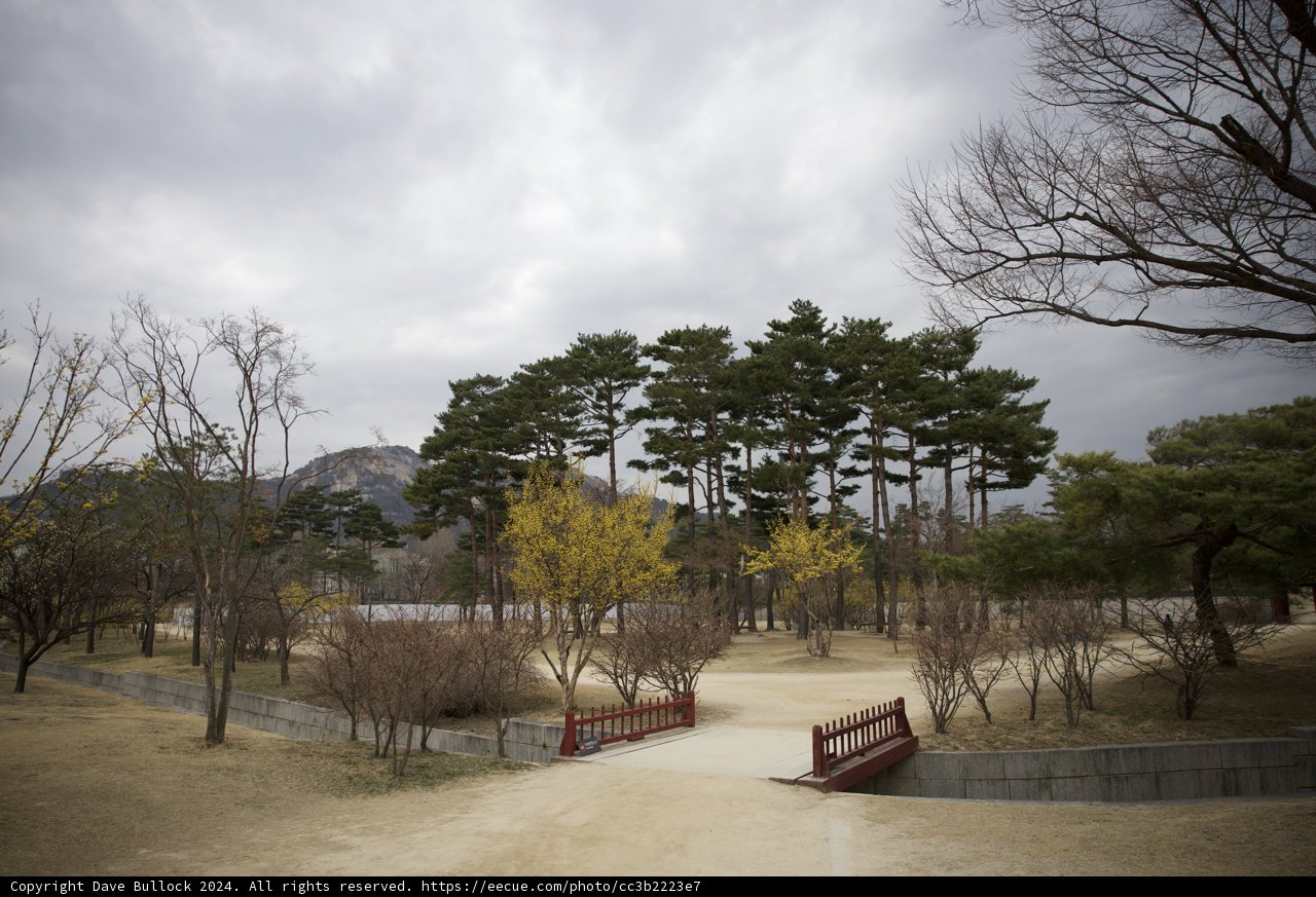 Serene Morning in a Korean Park