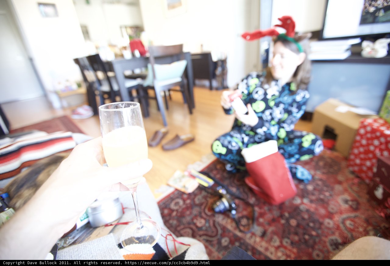 Cheers to the Holidays