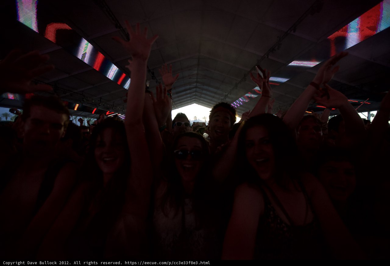 Coachella Crowd Goes Wild