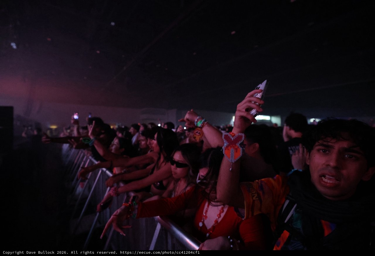 Ecstatic Crowd Surges at Wobbleland Festival 2026