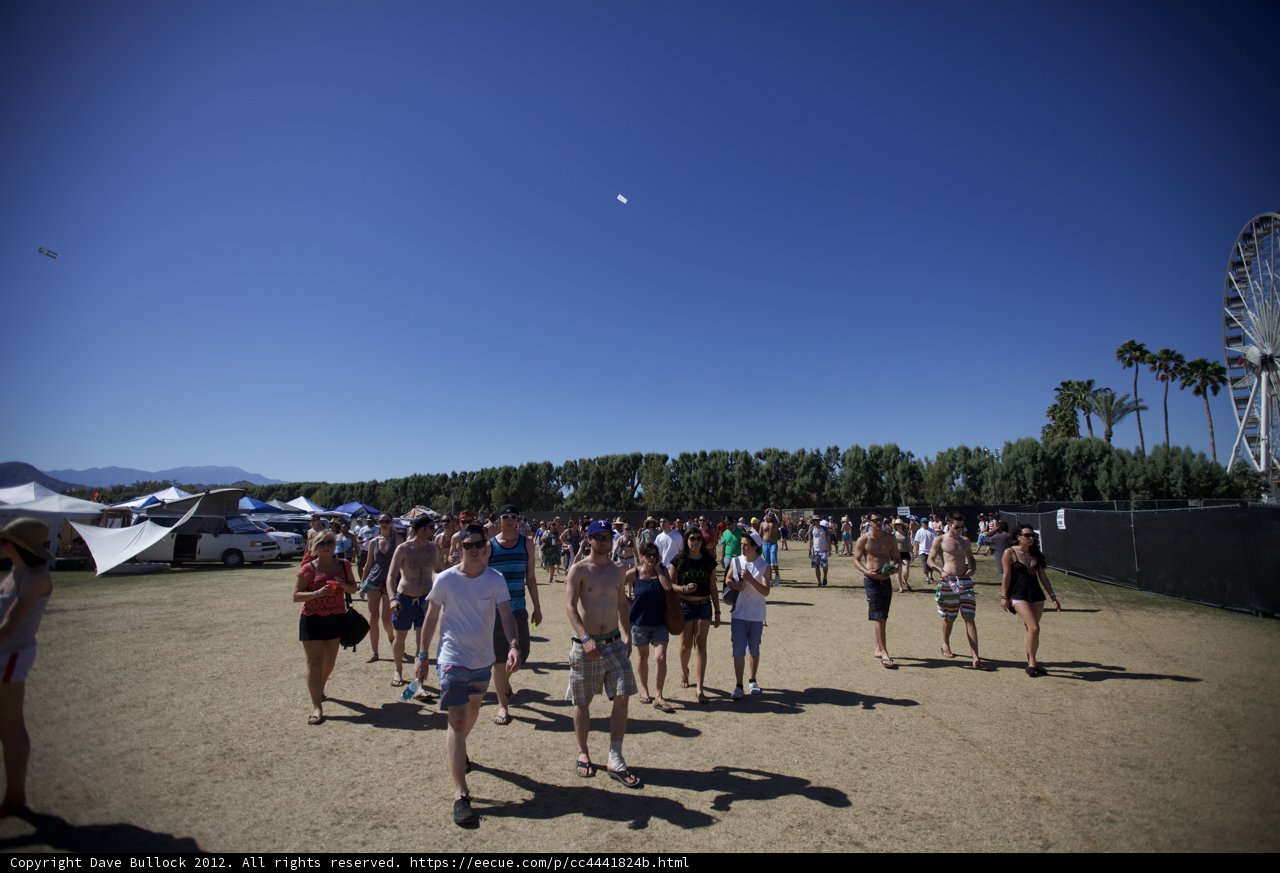 Walking among palm trees at Coachella