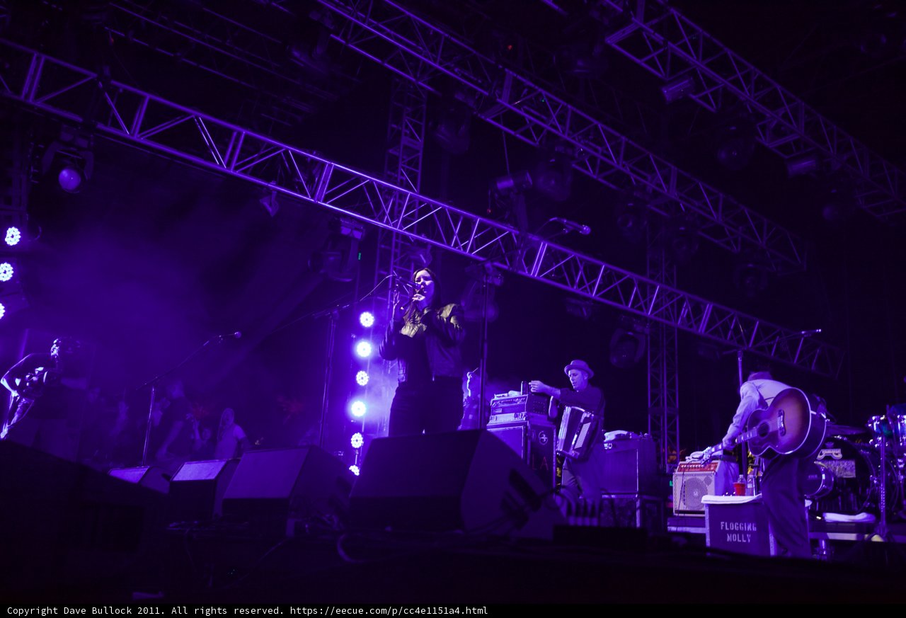 Purple Haze Performance