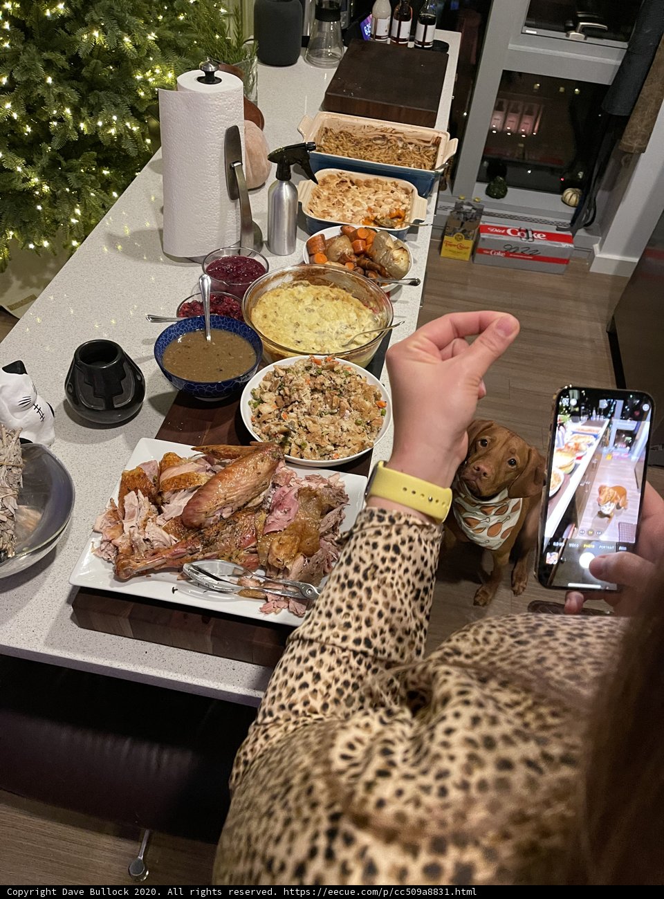 A Delicious Thanksgiving Brunch