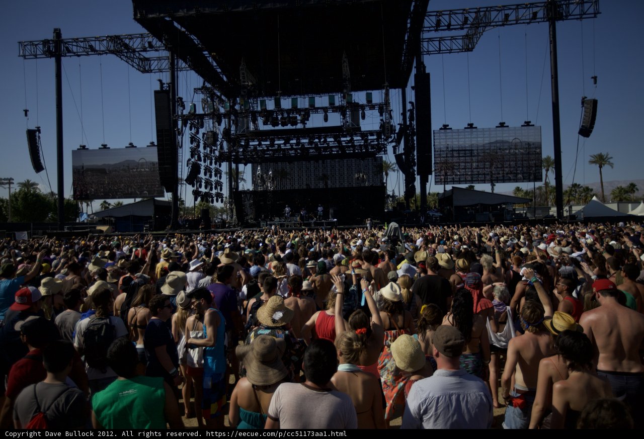 Festival Frenzy