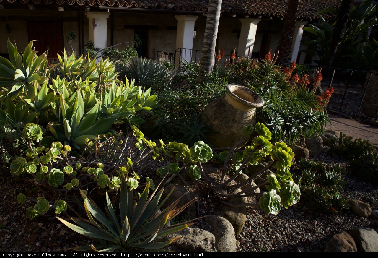 Serene Garden Oasis