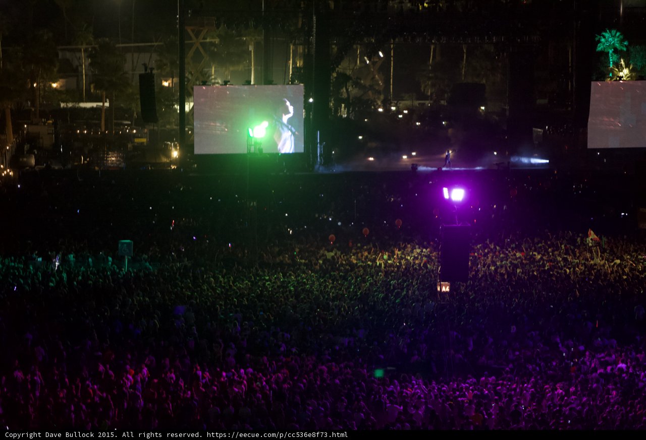Electrifying Crowd at Coachella