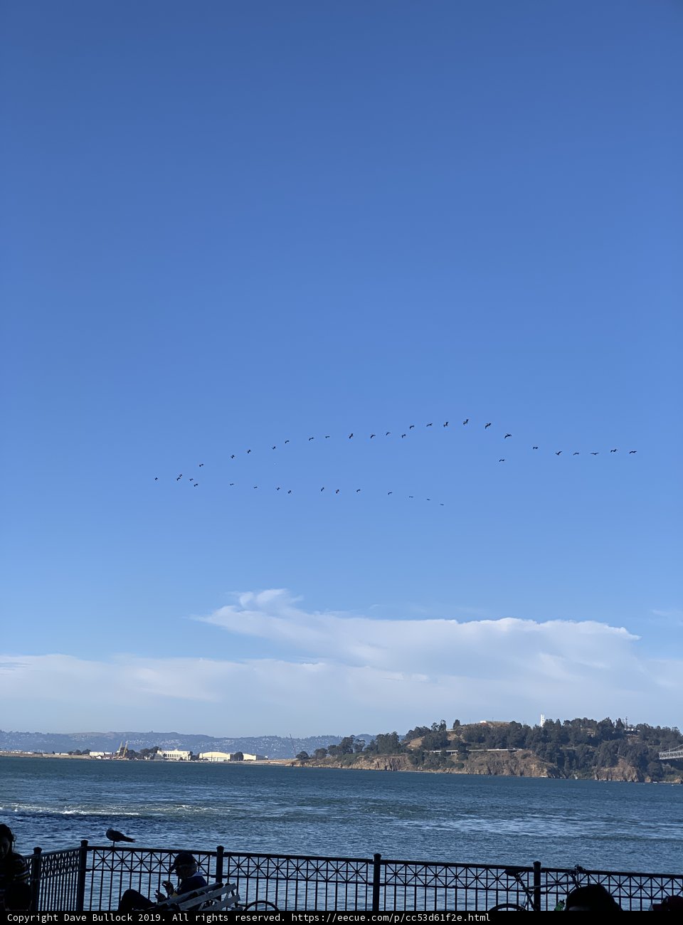 Flying Flock Over the Ocean