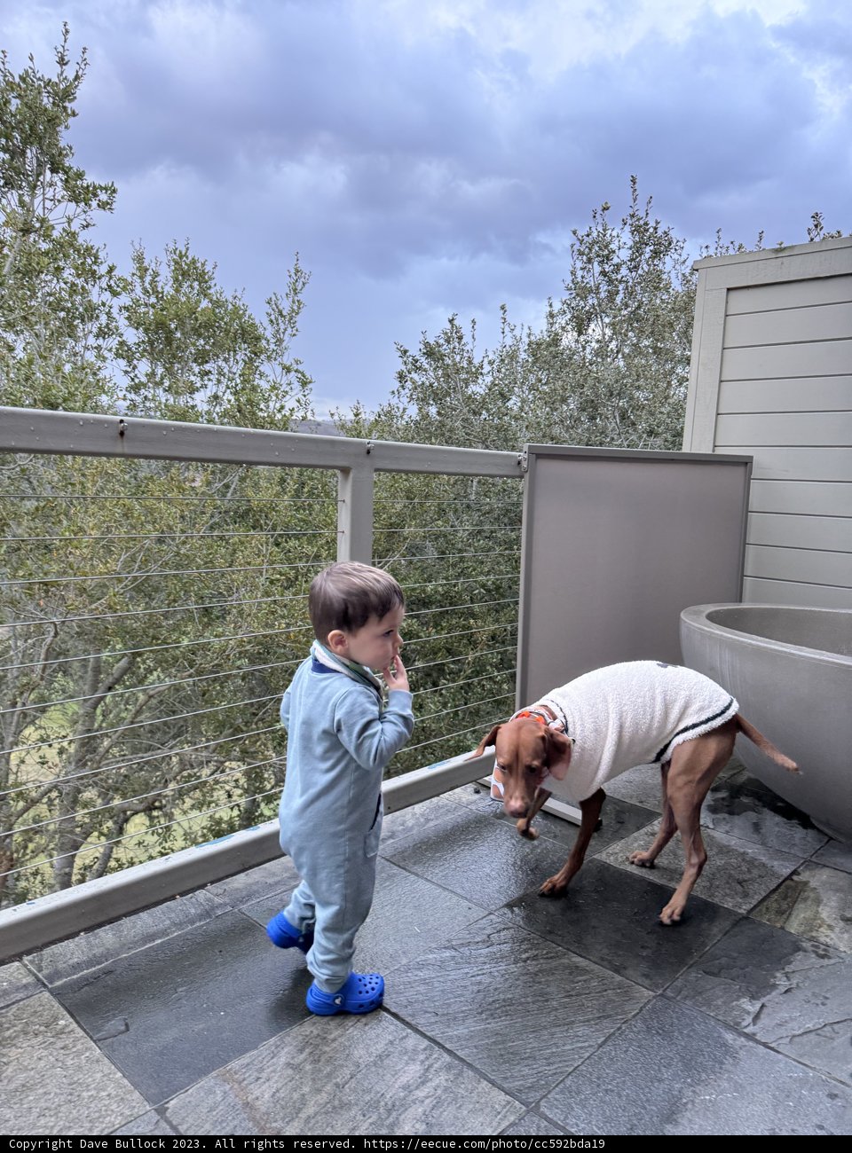 Unforgettable Moments: Boy's Best Friend