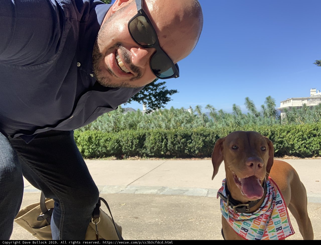 Man and his furry friend take a Selfie