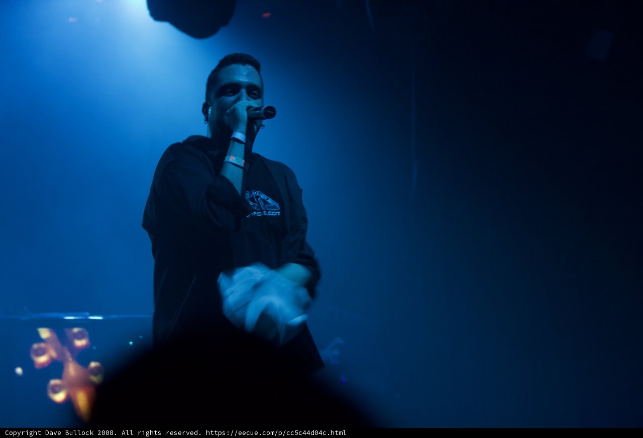 Rocking the Crowd