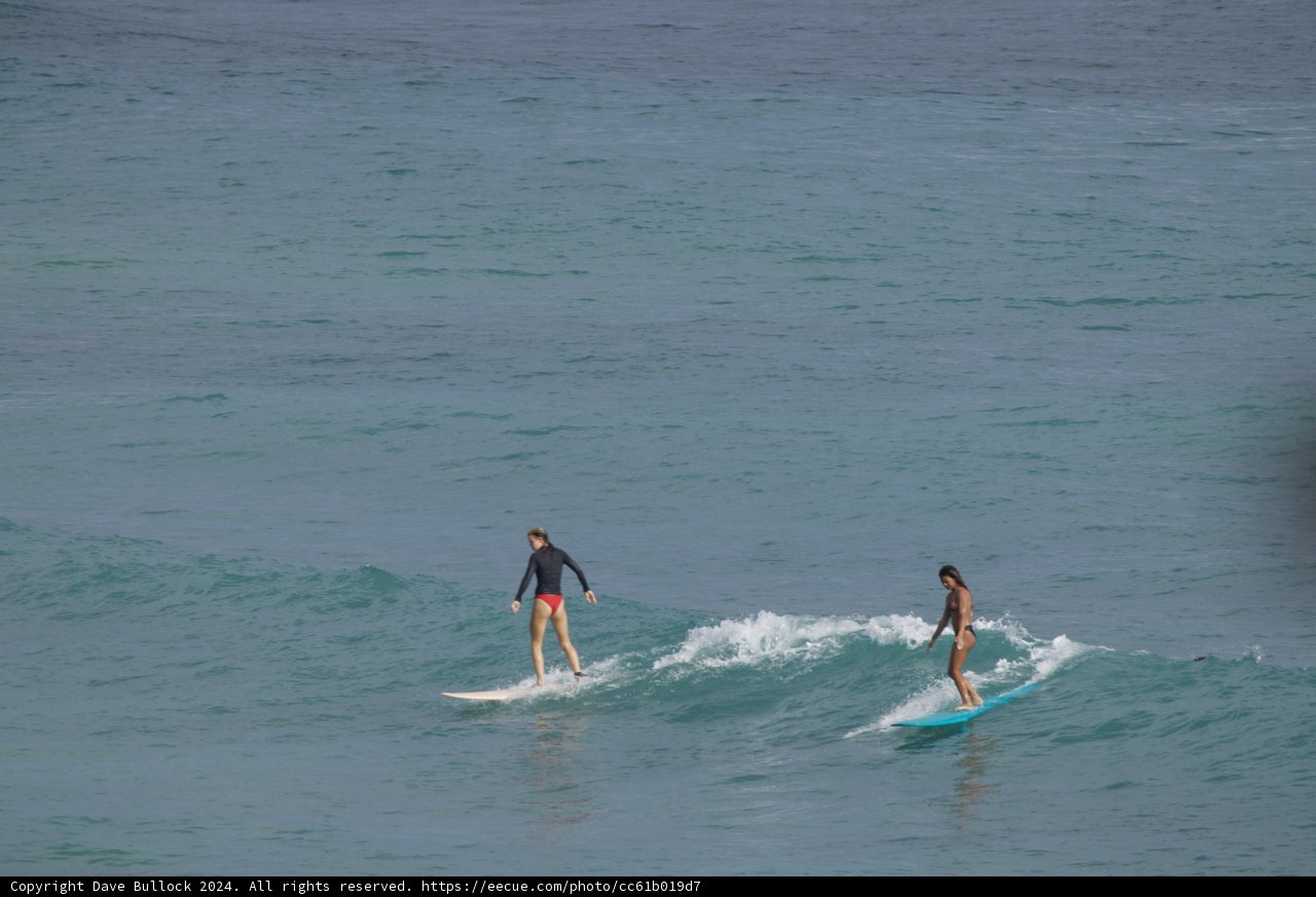 Dual Waves: A Surfing Encounter in Hawaii