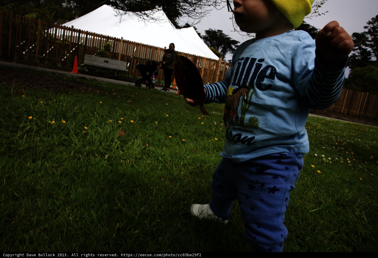 A Playful Day at the San Francisco Botanical Garden