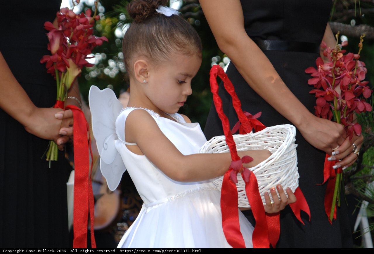 Flower Girl