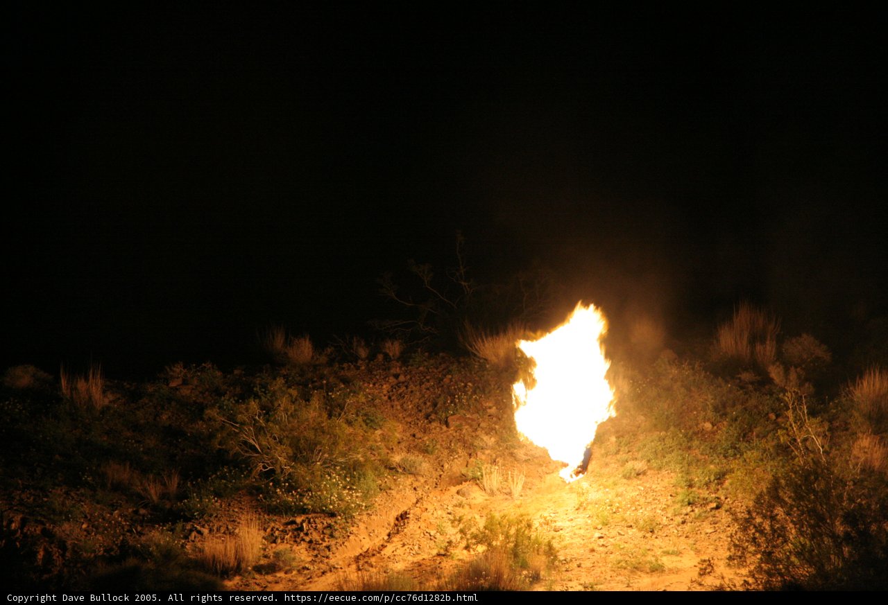 Dancing Flames in the Night Sky