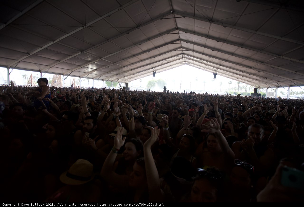 Coachella Crowd Euphoria