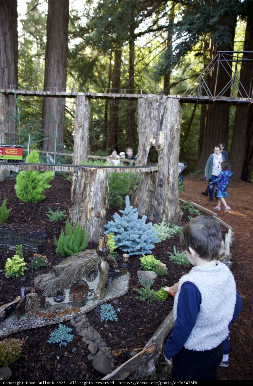 Miniature Marvels at Thistlewyck