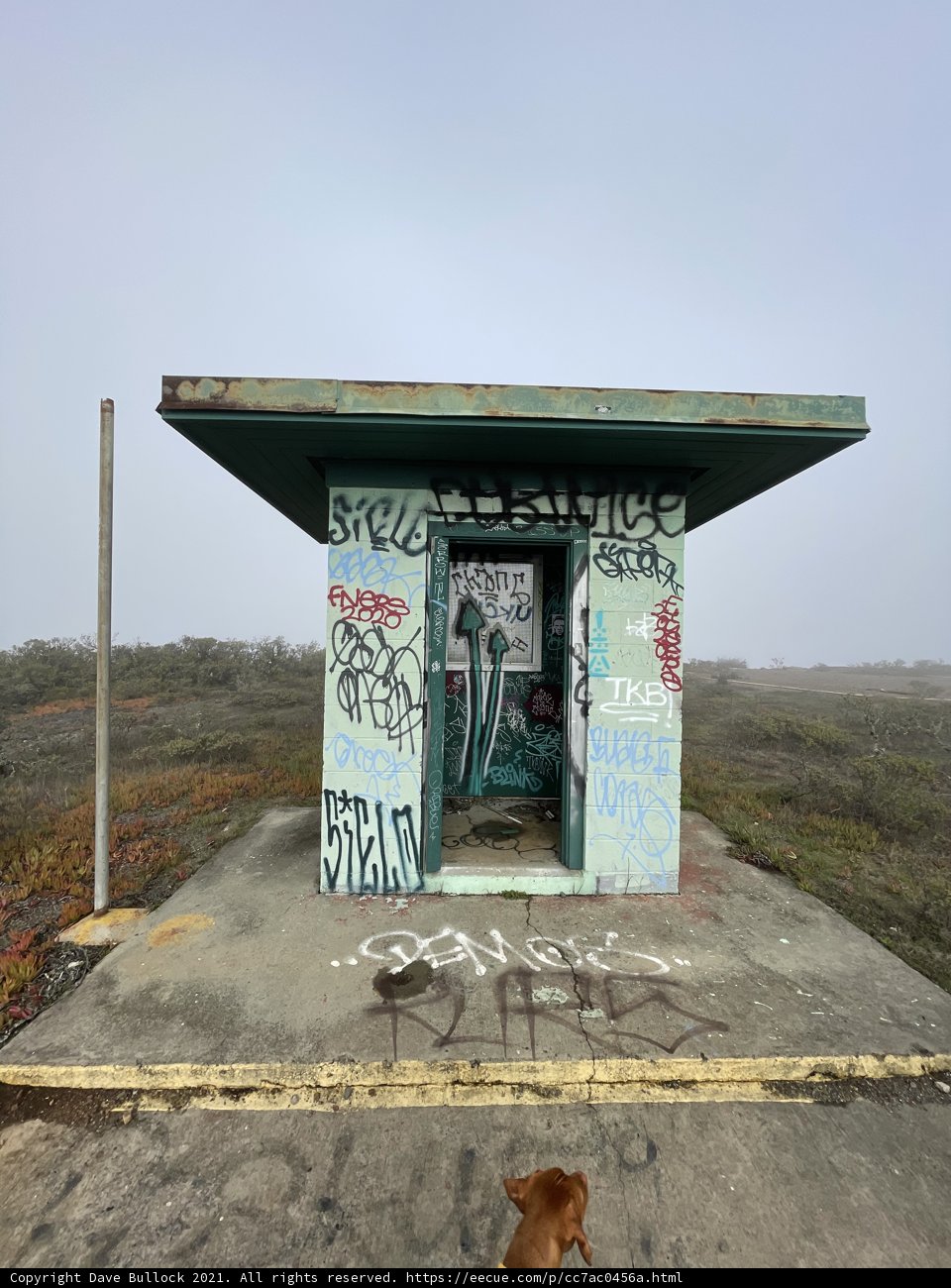 The Graffiti Shelter
