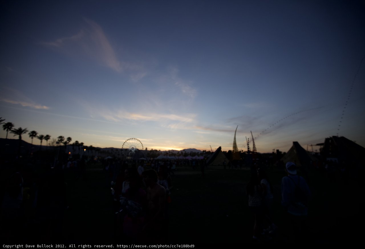 Sunset Silhouettes