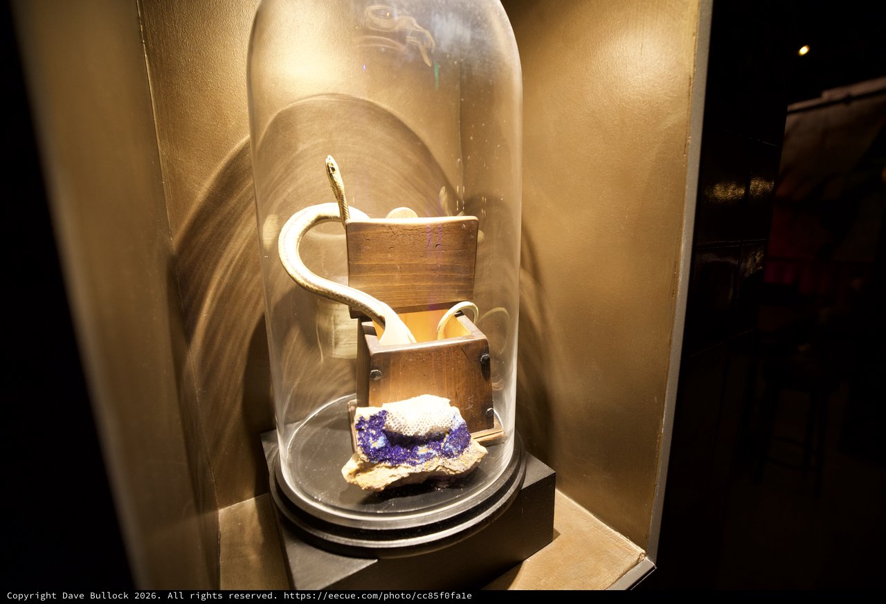 Open Padlock Display Under Glass Dome with Amethyst