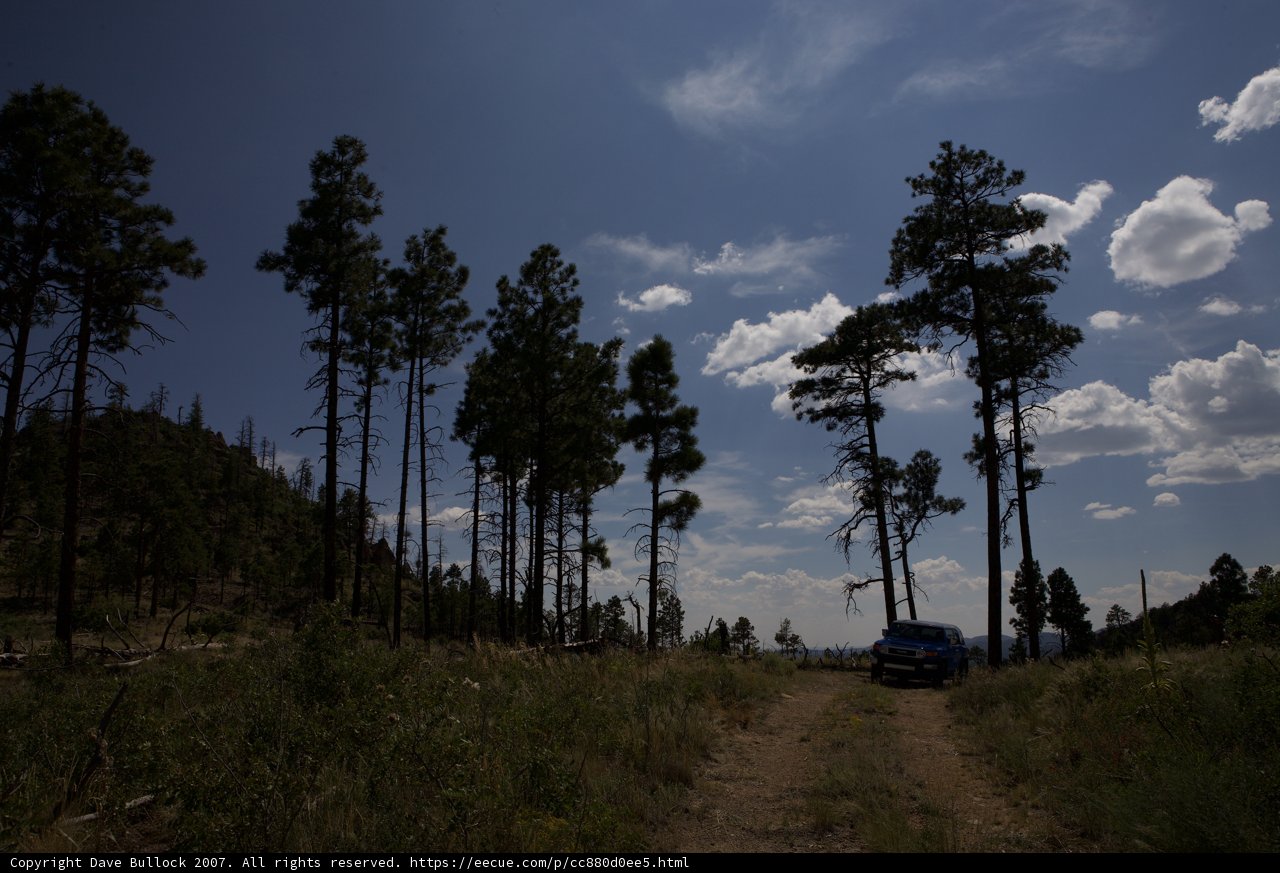 Blue Truck on a Dirt Road