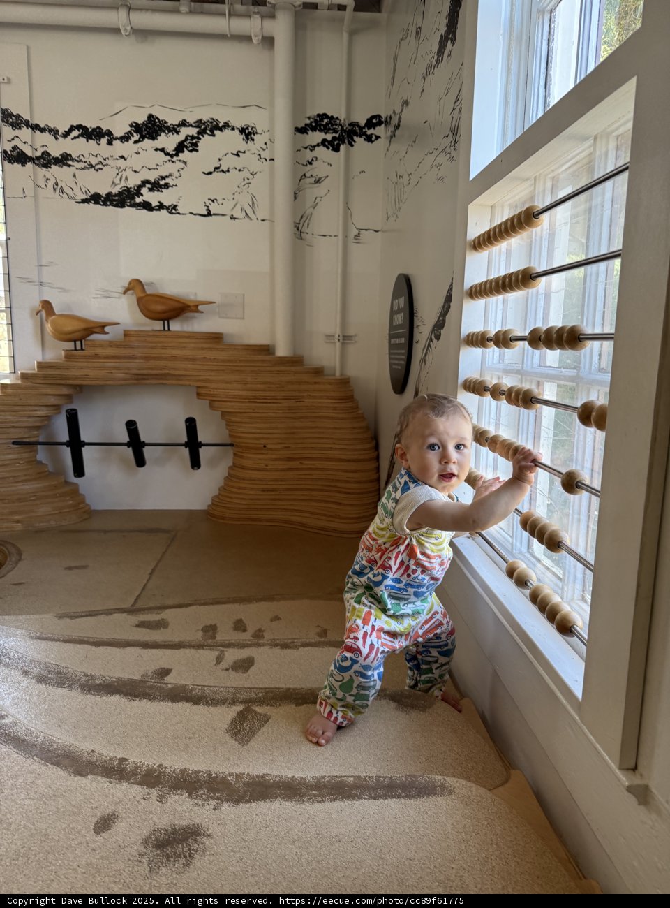 Baby's Curious Adventure