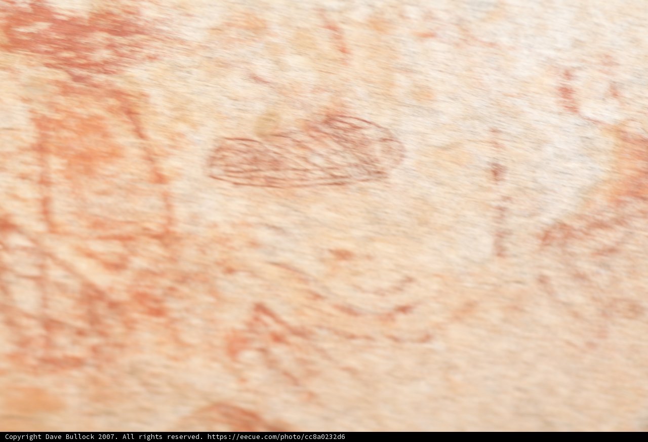 Layers of Texture and Stains