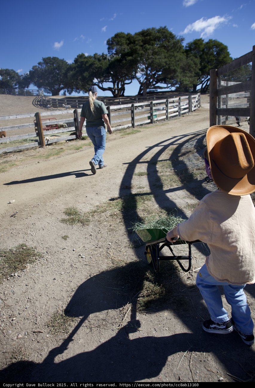 Ranch Adventures