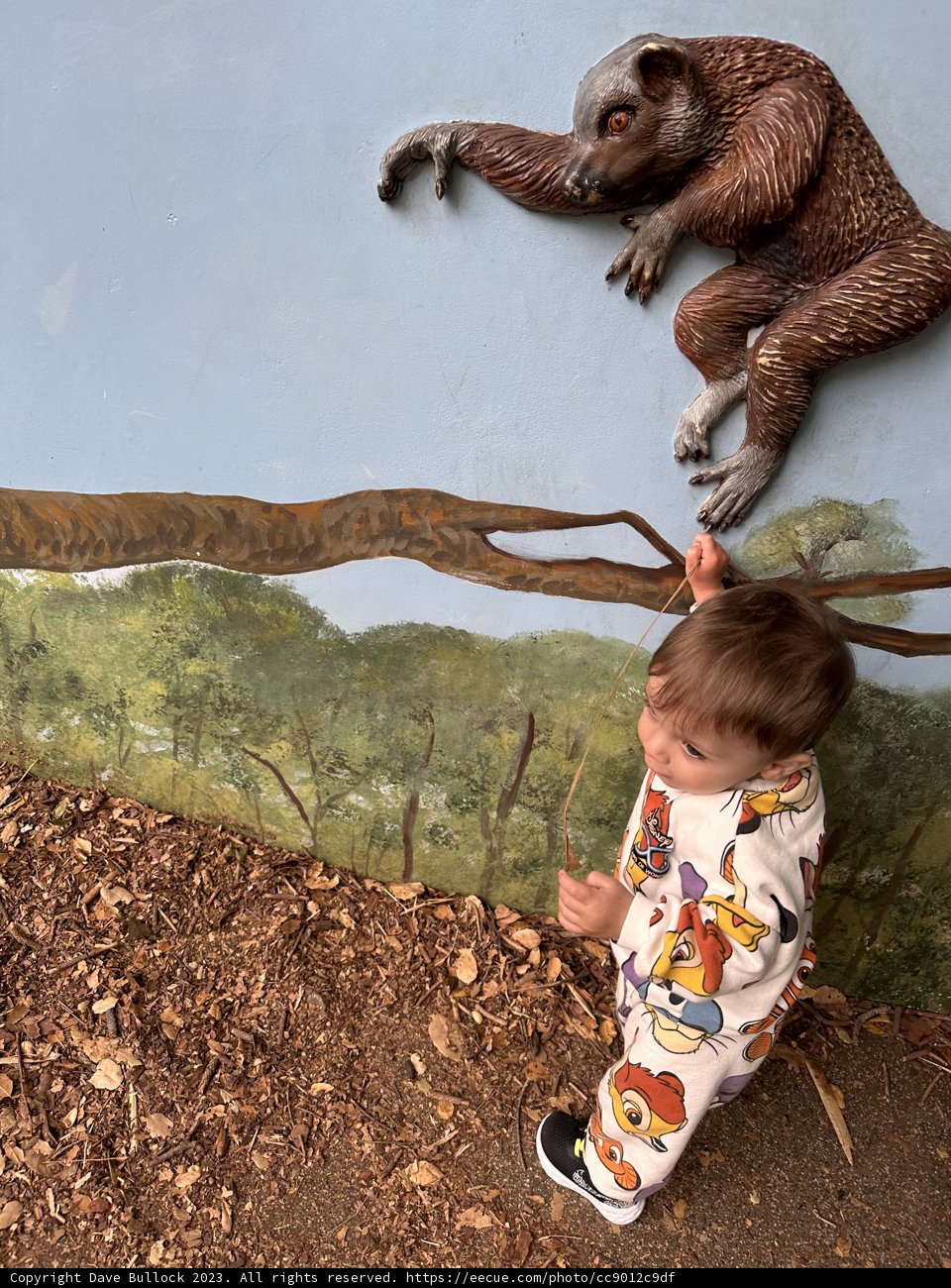 A Day of Adventure: Wesley's Encounter with Wildlife