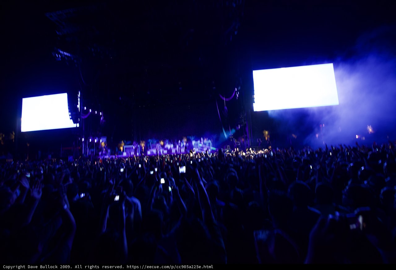 Electric Crowd at Coachella 2009