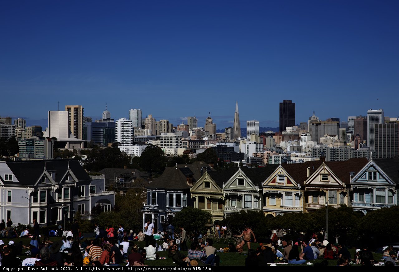 A Relaxing Day at Alamo Square