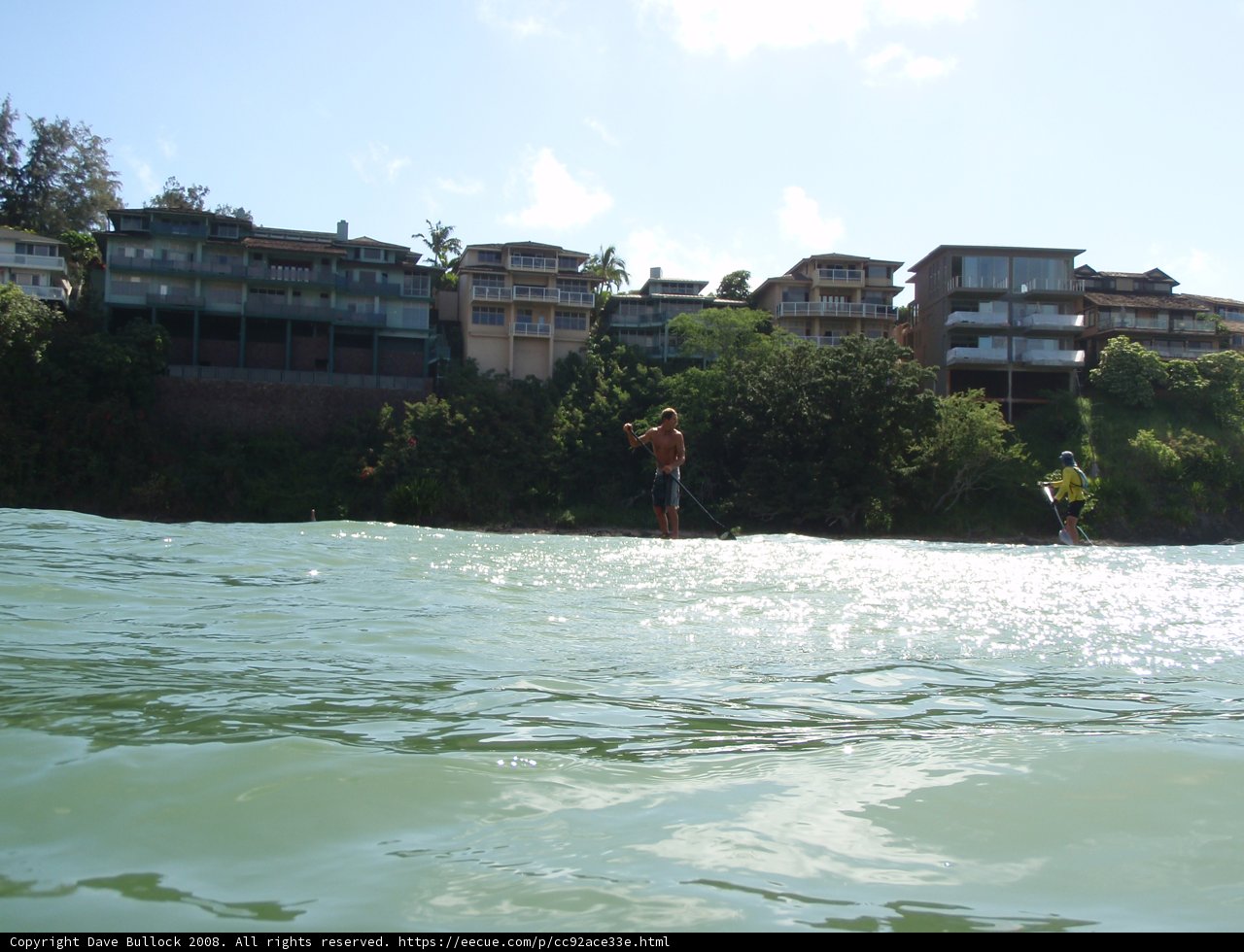 Surfing by the Summer House